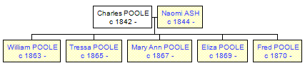 Mini tree diagram